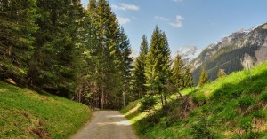  Abzweigung beim Kasermandl